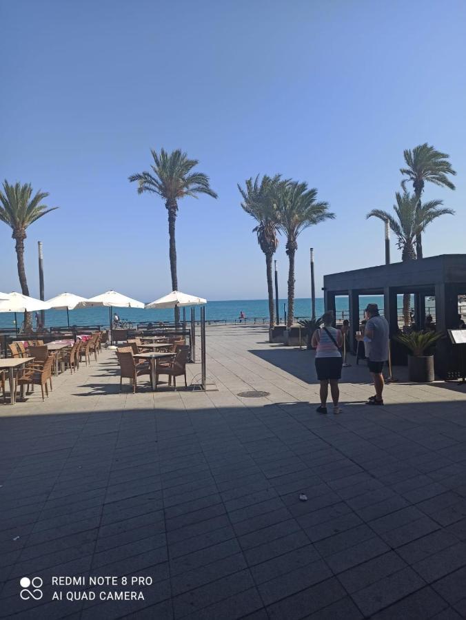 Apartments Ramon In Torrevieja Dış mekan fotoğraf